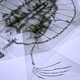 Image for article titled X-Ray Console Quiz!